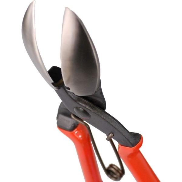 ficst_4930491750121_1_d_20250509114836