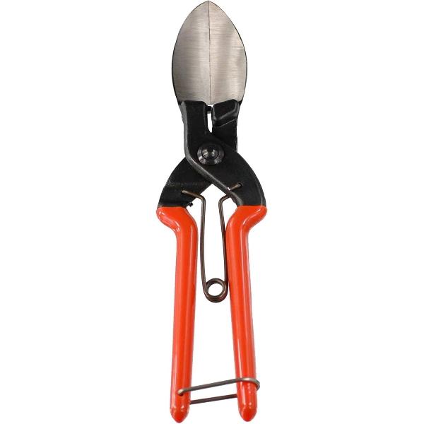 ficst_4930491750121_d_20250509114832