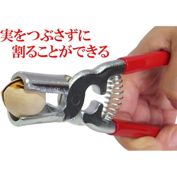 ficst_4931617100011_1_d_20250819141304