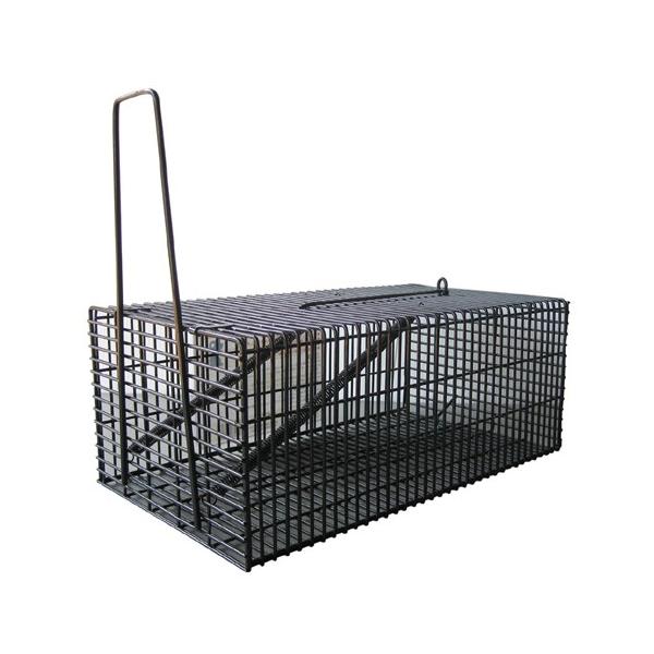 Rp ubNp^nEX v14.5×c22.5×g10cm [˂ lY~ ߂ ߊl JS] _LINEFB300~OFF^