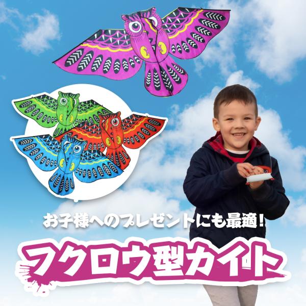 カラフルなフクロウをモチーフにしたカイトです。横幅（約）1.4mのサイズでカラフルなデザインはまるで、可愛いフクロウが飛び回っているかの様。公園や広場で注目を浴びること間違いなしです。角凧より風の力を使わずに少しの風でも高く上げる事ができる...