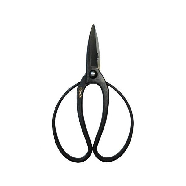 ( ዷ )nv195mm  ( TH-1 / AT10245678 )( ͂ | A ) (Q41CD)