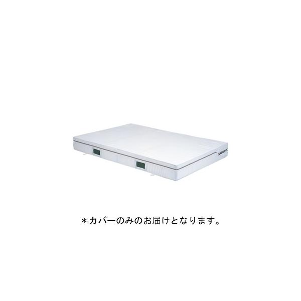 @l g[GCCg Go[}bg Jo[̂݃Go[}bgGXez 2×3×0.2 G-2011A  N(21) (TOL) (Q41CD)