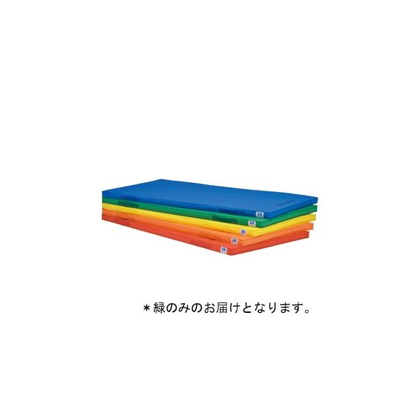 @l g[GCCg ̑}bg yʃGRJ[}bg 5cm 90×180×5cm  T-1938G  N(7) (TOL) (Q41CD)