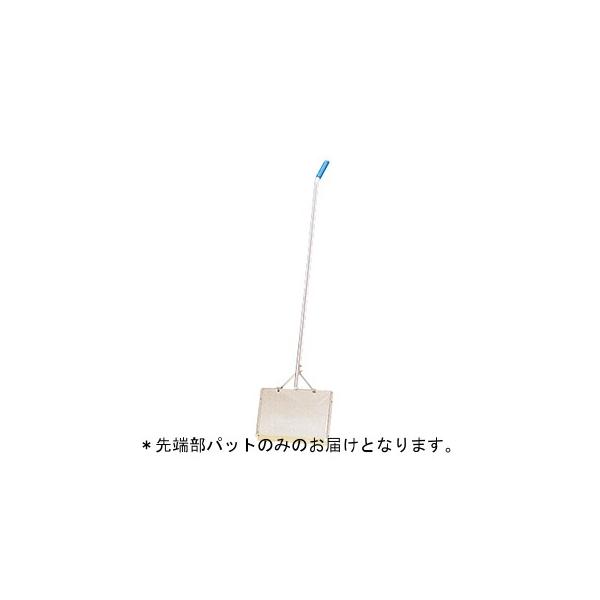 @l ANAXC[p[NT1 [pbg{̕ʔ  B-7450A / 10256827  g[GCCg  Q41CD N(39) (TOL) (Q41CD)