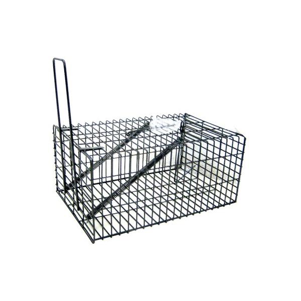 ˂݋쏜 ˂ݕ߂ lY~쏜 lY~߂ ubNEp^nEX ubN ('4935682028072 ATC10262333)  ߊl Qb쏜 Qb΍ (Q41CD)