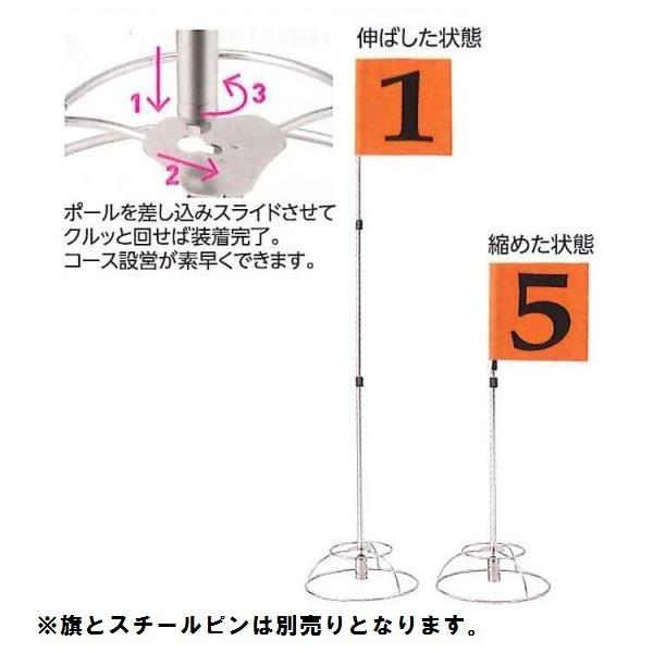 3iY[z[|Xg(ʔ) ( GS-227 / SNL10300870 )( TbL[ ) (Q41CD)