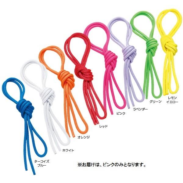 WjAJ[|GXe[v sN 2.5 SASAKI TTL V̑ ( MJ240-P-2.5 / SAK ) (Q41CD)