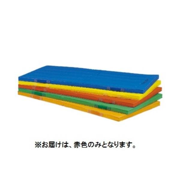 g[GCCg ̑p}bg J[}bg GRJ[Rrl[V}bg5cm 90×180×5cm  T-1892R  N(7) (TOL) (Q41CD)