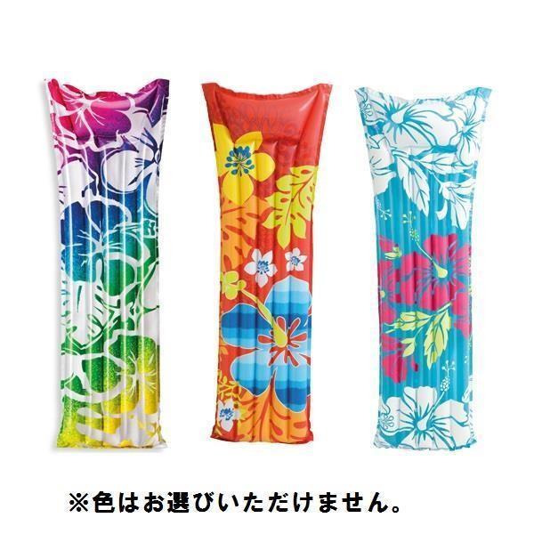 59720 t@bV}bgFws CebNX ƒpv[ v[ (CAG) (Q41CD)