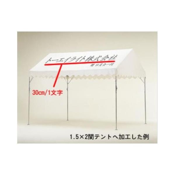 @l g[GCCg TOEI LIGHT l[ egl[30cmȓ B-9030  N(ς) (TOL) (Q41CD)