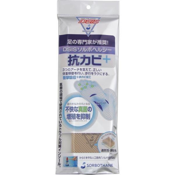 61750 DSIS \{wV[ RJr{ Li26.0`26.5cmj \{ C\[ ~ (SRB) (Q41CD)