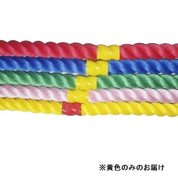 j [v ȂЂ S-8646 Jt[v3m   Q41CD N(A) (SWT) (Q41CD)