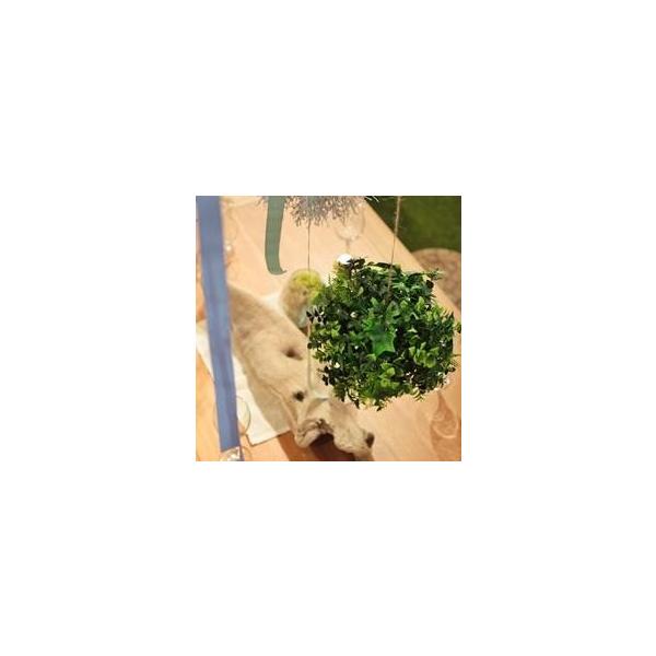 ���J �A�� ���� LFS-902D �{�[���t�F�C�N�O���[��S (AZM) (Q41CD)