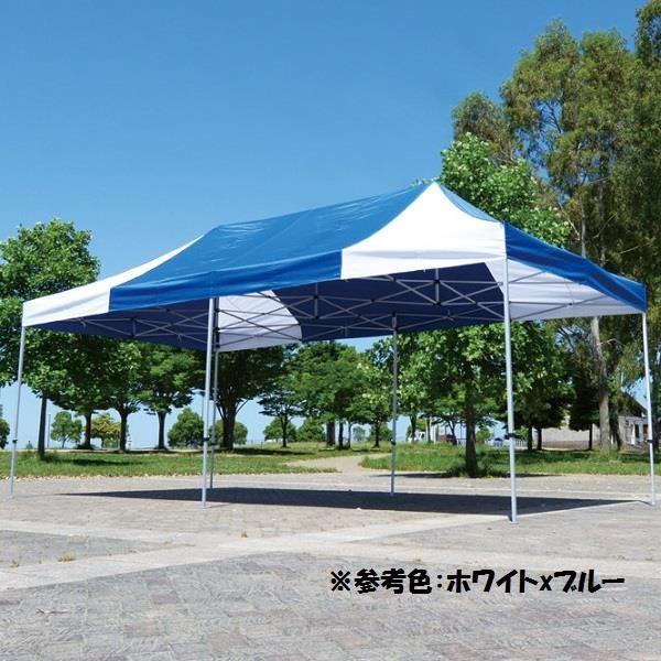 eg ^b` eg ^ eg ^b` ^ 񂽂ĂƃLOTCY KA/11W  N(ς) (SWT) (Q41CD)