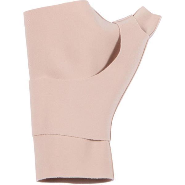 T|[^[   T|[^[ nh T|[^[ AP244004 t@CeT|[^[ ^bNX p\tg^Cv M (PTN) (Q41CD)