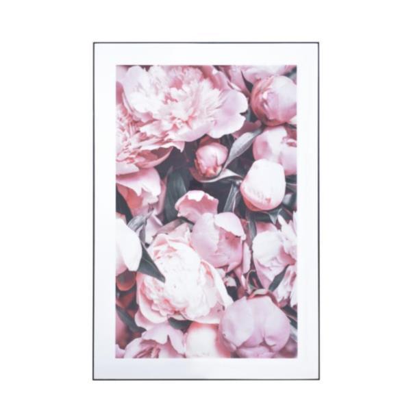 A[gpl CeA  Ǐ ART-200C A[gpl zCg (AZM) (Q41CD)