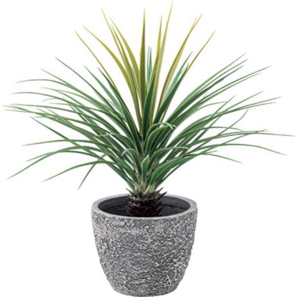 Aؔ  O[x[X ϗtA GRNB-201 O[x[X O[ (AZM) (Q41CD)