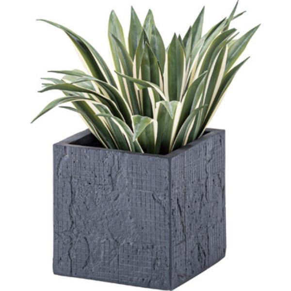 Aؔ  O[x[X ϗtA GRNB-208 O[x[X _[NO[ (AZM) (Q41CD)