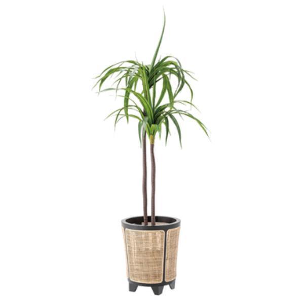 Aؔ  VR v^[ GUY-925 v^[Jo[ i` (AZM) (Q41CD)