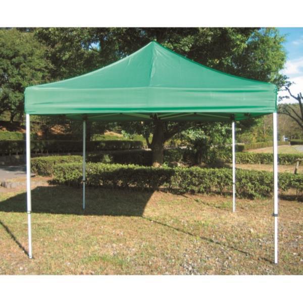 �e���g ��^�e���g �w�Z EKA101-500 �N�C�b�N�e���g2.4��3.6 ��  ���������N(G) (ENW) (Q41CD)