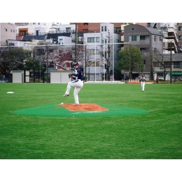 fieldboss_11341552