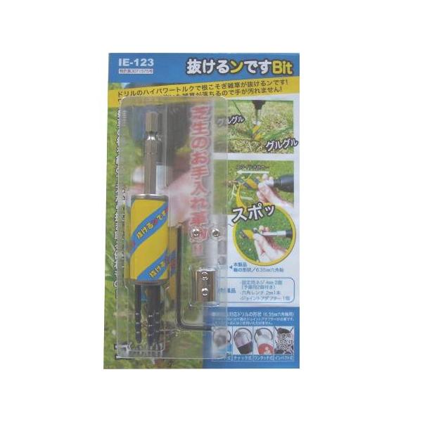 ACK[@łBIT (AT198129/IE123)(    G G  Ŋ ނ ) (Q41CD)