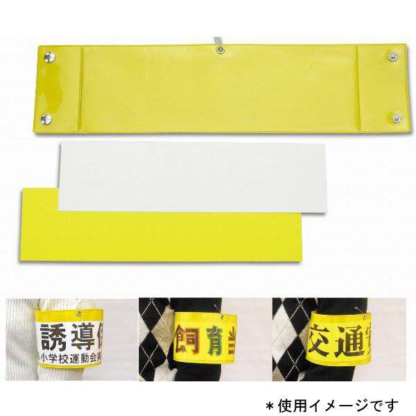 r (AC206187/'003925) (Q41CD)