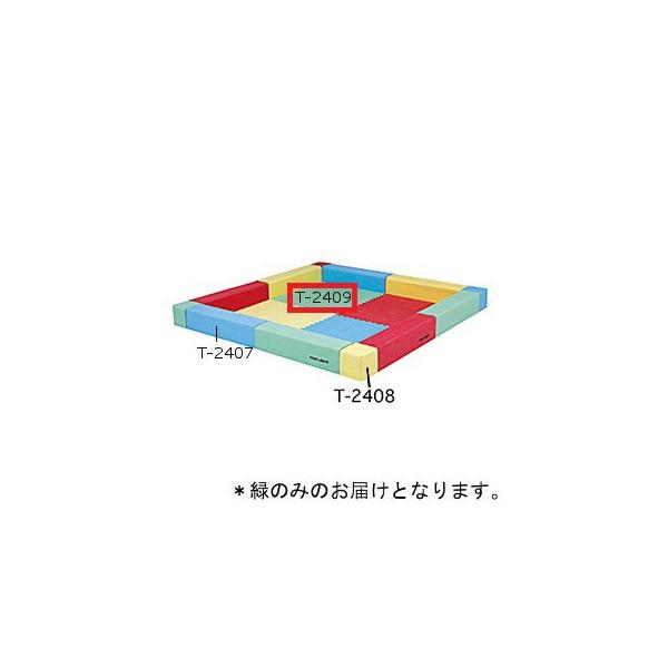 @l vChWCg}bg  T-2409G  N(6) (TOL) (Q41CD)