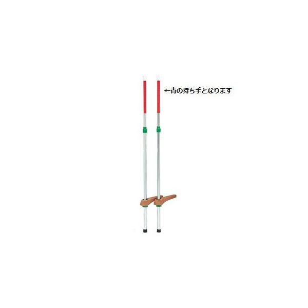 @l g[GCCg J[|nXCh185  T-2482B  N(39) (TOL) (Q41CD)