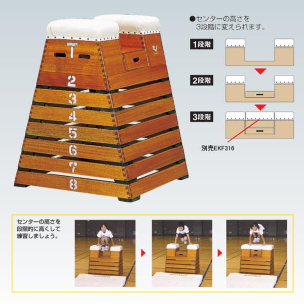 Goj[ Ƃє Y-100ED EKF315  N(H) (ENW) (Q41CD)