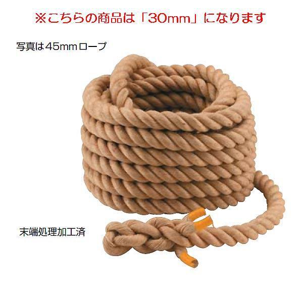 j[v30mm JS83160/EKA412ށF^ Q41CD N(B) (ENW) (Q41CD)