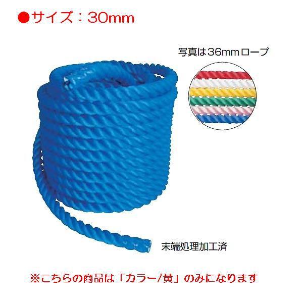 J[j[v30mm JS83171/EKA421ށF^ Q41CD N(B) (ENW) (Q41CD)