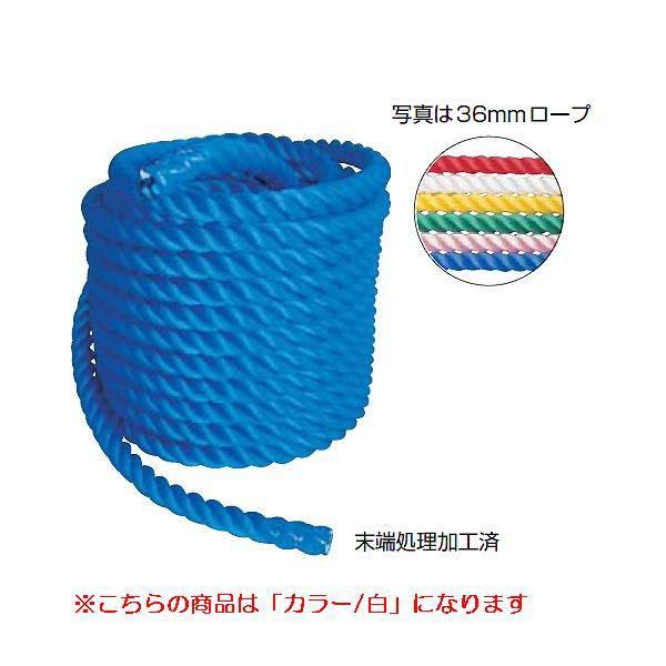 J[j[v36mm JS83174/EKA422ށF^ Q41CD N(B) (ENW) (Q41CD)