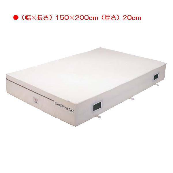 X|[c ̑ ی RۉGo[}bg}bg{ EGD221  N(Q) (ENW) (Q41CD)