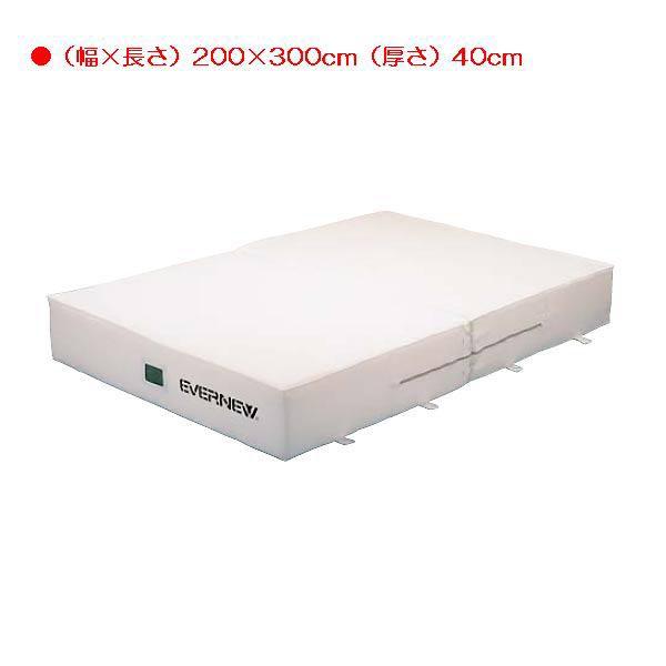 X|[c ̑ ی Go[}bgcܖ}bg{ EGD124  N(U) (ENW) (Q41CD)