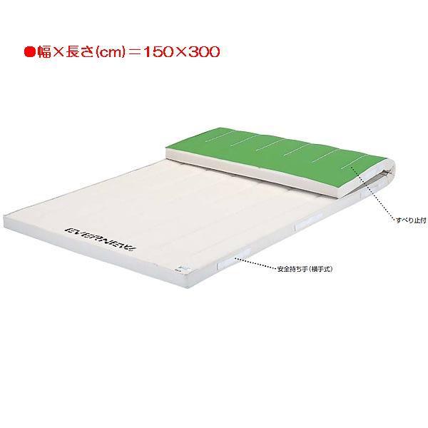 X|[c ̑ ی Rۂׂ~t~X|W}bg EKM226  N(A) (ENW) (Q41CD)