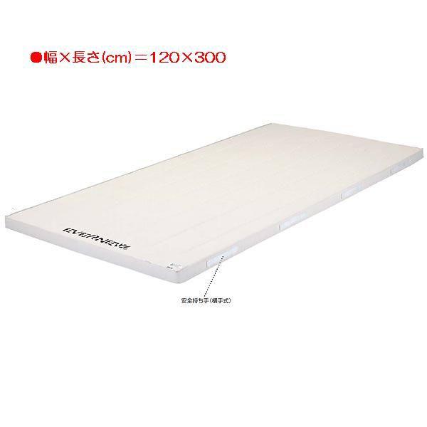 �X�|�[�c �̑� �ی� 5cm���R�ۍ����X�|���W�}�b�g�� EKM113  ���������N:(�A) (ENW) (Q41CD)