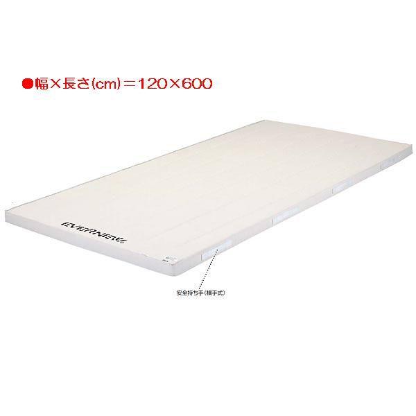 �X�|�[�c �̑� �ی� 5cm���R�ۍ����X�|���W�}�b�g�� EKM115  ���������N:(�C) (ENW) (Q41CD)