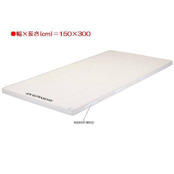 X|[c ̑ ی 5cmRۍX|W}bg EKM106  N(A) (ENW) (Q41CD)