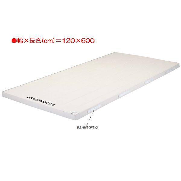 X|[c ̑ ی 6cmRۍX|W}bg EKM135  N(C) (ENW) (Q41CD)