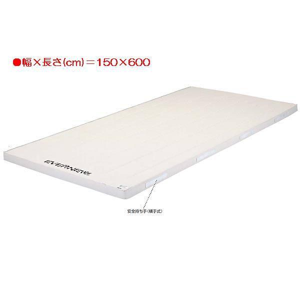 X|[c ̑ ی 6cmRۍX|W}bg EKM127  N(E) (ENW) (Q41CD)