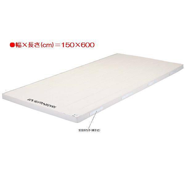 X|[c ̑ ی 6cmRۍX|W}bg EKM137  N(E) (ENW) (Q41CD)