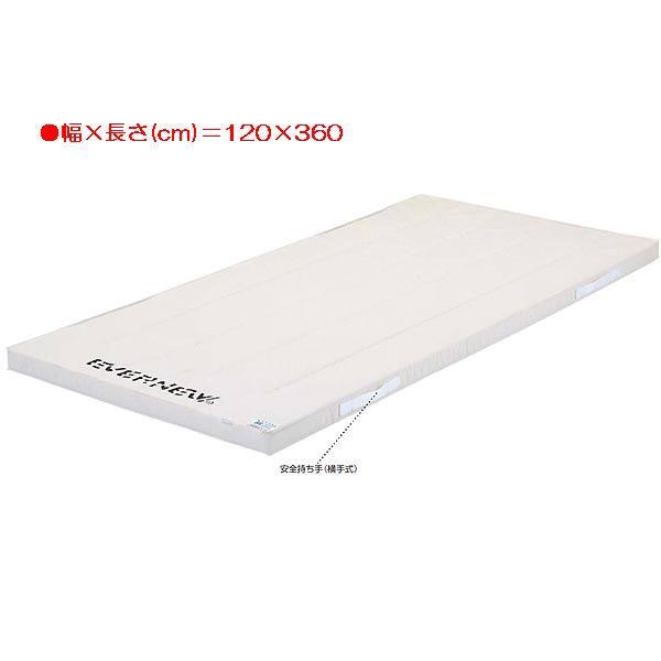 X|[c ̑ ی 6cmX|W}bg EKM254  N(A) (ENW) (Q41CD)