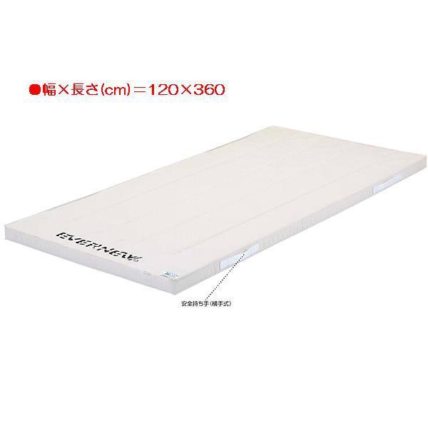 X|[c ̑ ی 6cmX|W}bg EKM264  N(A) (ENW) (Q41CD)