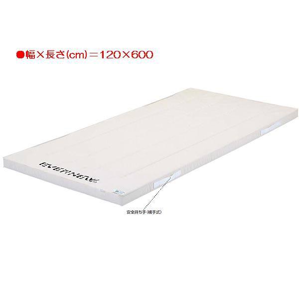 X|[c ̑ ی 6cmX|W}bg EKM255  N(C) (ENW) (Q41CD)