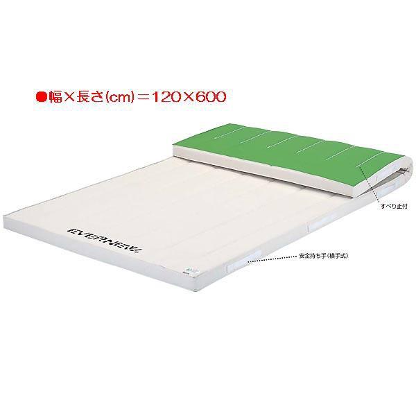 X|[c ̑ ی 6cmRۍX|WRr}bgׂ~t EKM205  N(C) (ENW) (Q41CD)