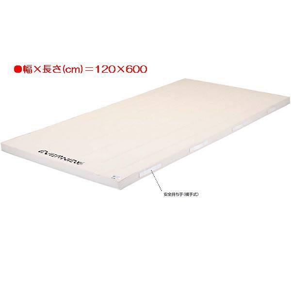 X|[c ̑ ی 5cmX|WRr}bg EKM315  N(C) (ENW) (Q41CD)