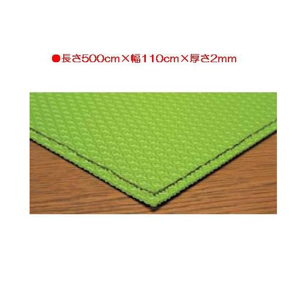 ̈ٗpi tAV[g ̑ ی ~V[g5 EKF073  N(C) (ENW) (Q41CD)