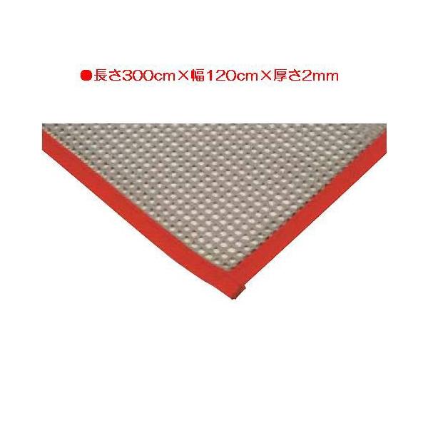 ̈ٗpi tAV[g ̑ ی ׂ~߃lbg120×300 EKF077  N(C) (ENW) (Q41CD)